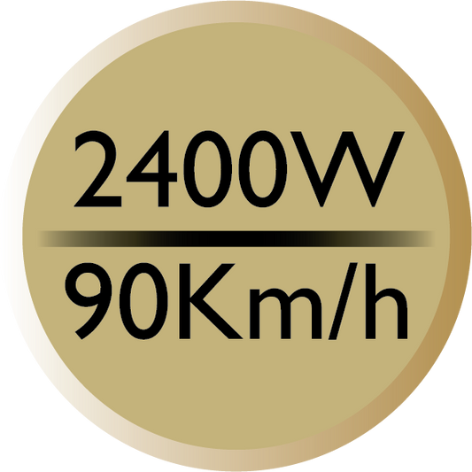 REMINGTON GoldDust D5208 Ionic Hair Dryer, 2400 W