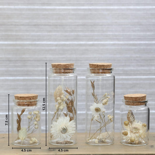 Dried Flowers in Glass with Corks, Set of 4