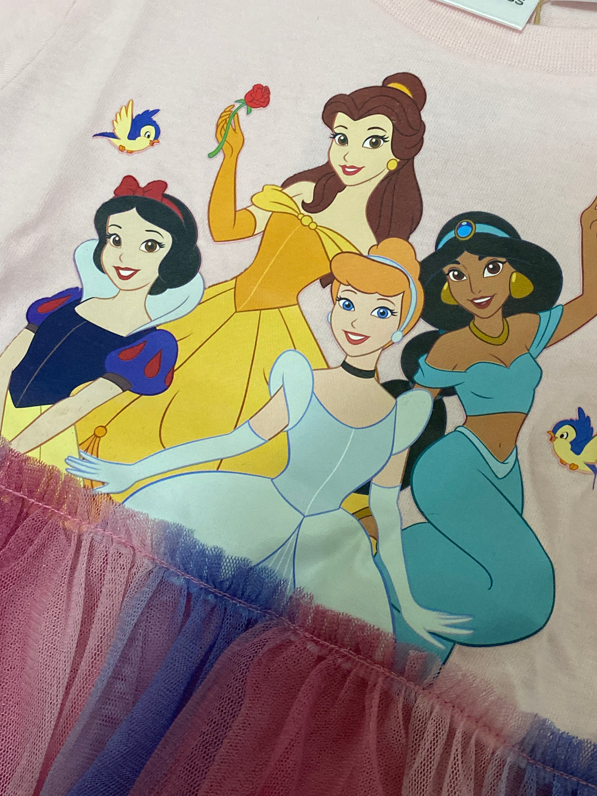 Girls’ Longsleeved Dress with Tulle - Disney Princess
