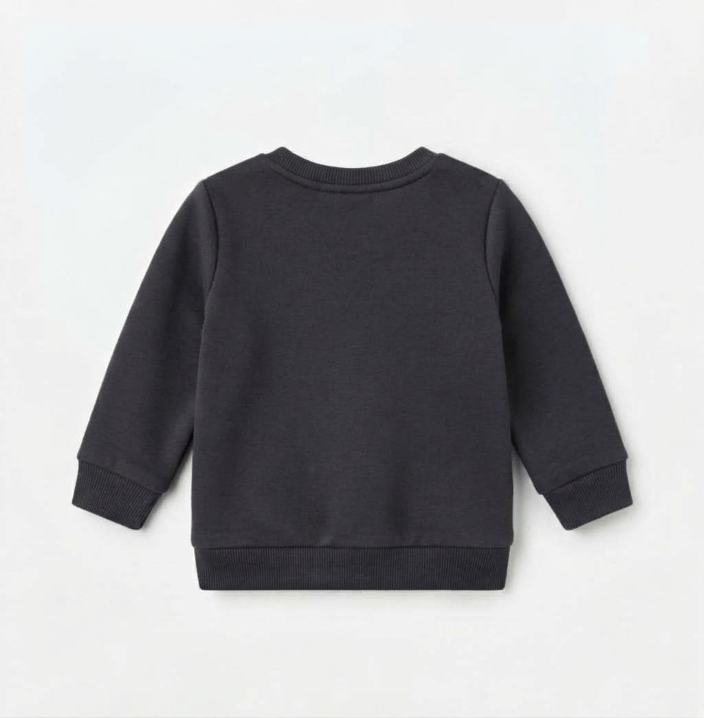 Babies’ Basic Fleece Sweatshirt (Dark Grey)