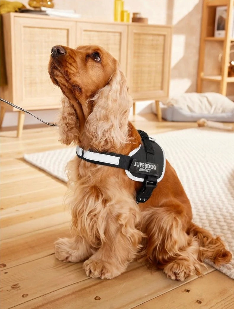 Dog Harness