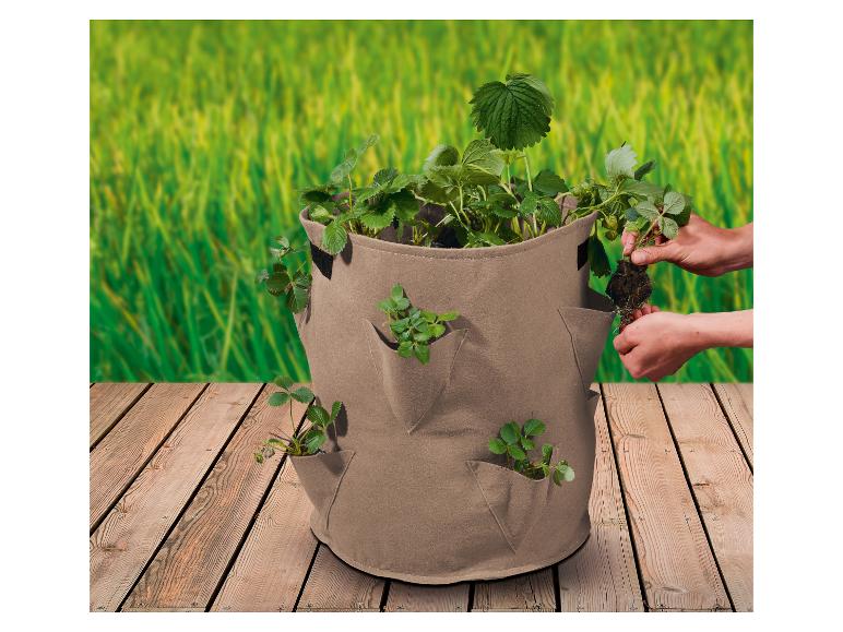 Strawberry Grow Bag, set of 2