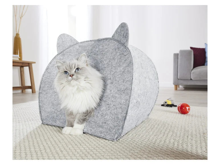 Cat House