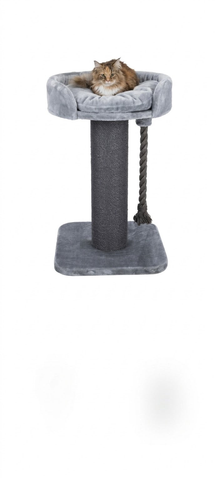 Cachet Plush Cat Scratching Post with Padded Bed & Play Rope (40 x 40 x 58 cm)