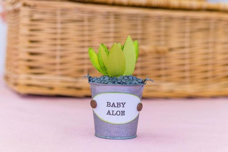 Crafter's Companion Sharon Callis Sensational Succulents Metal Die – Baby Aloe