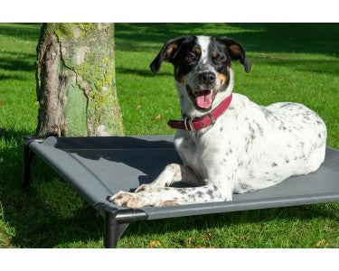 Dobar Outdoor Dog Cot with Sun Canopy