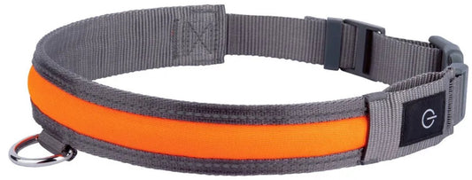 Zoofari LED Illuminated Collar - 3 Lighting functions