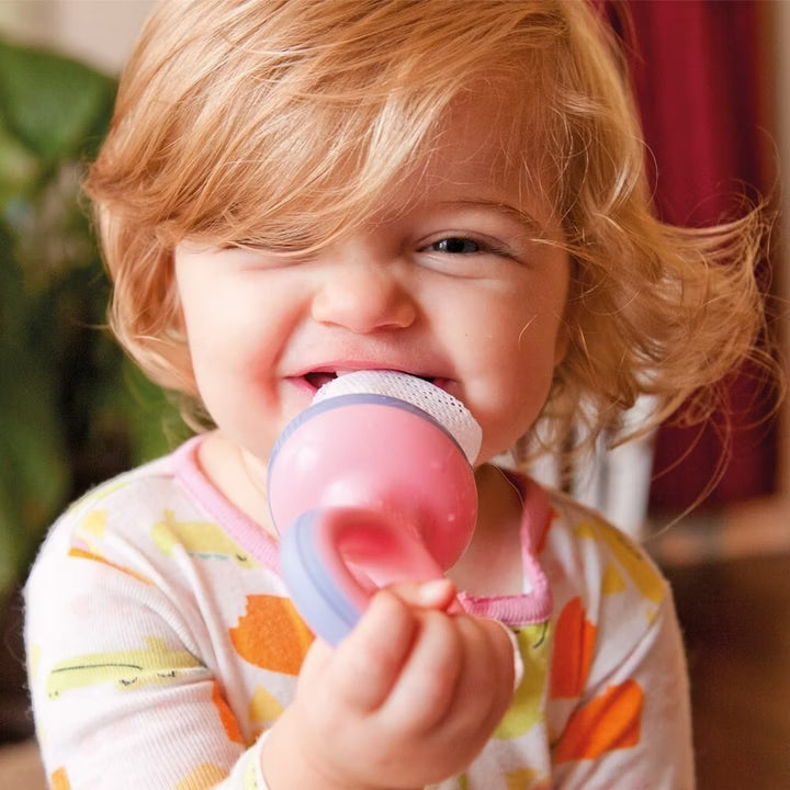 Nuby Fruit Feeder Premium