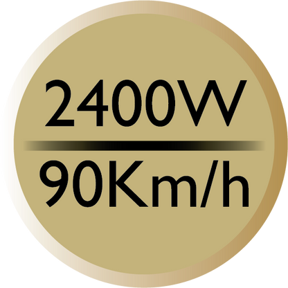 REMINGTON GoldDust D5208 Ionic Hair Dryer, 2400 W