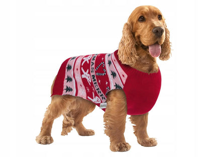 Zoofari Christmas sweater for dogs