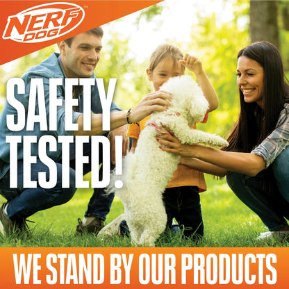 Nerf Dog LED Light Up & Squeak Hex Ring Chew Toy