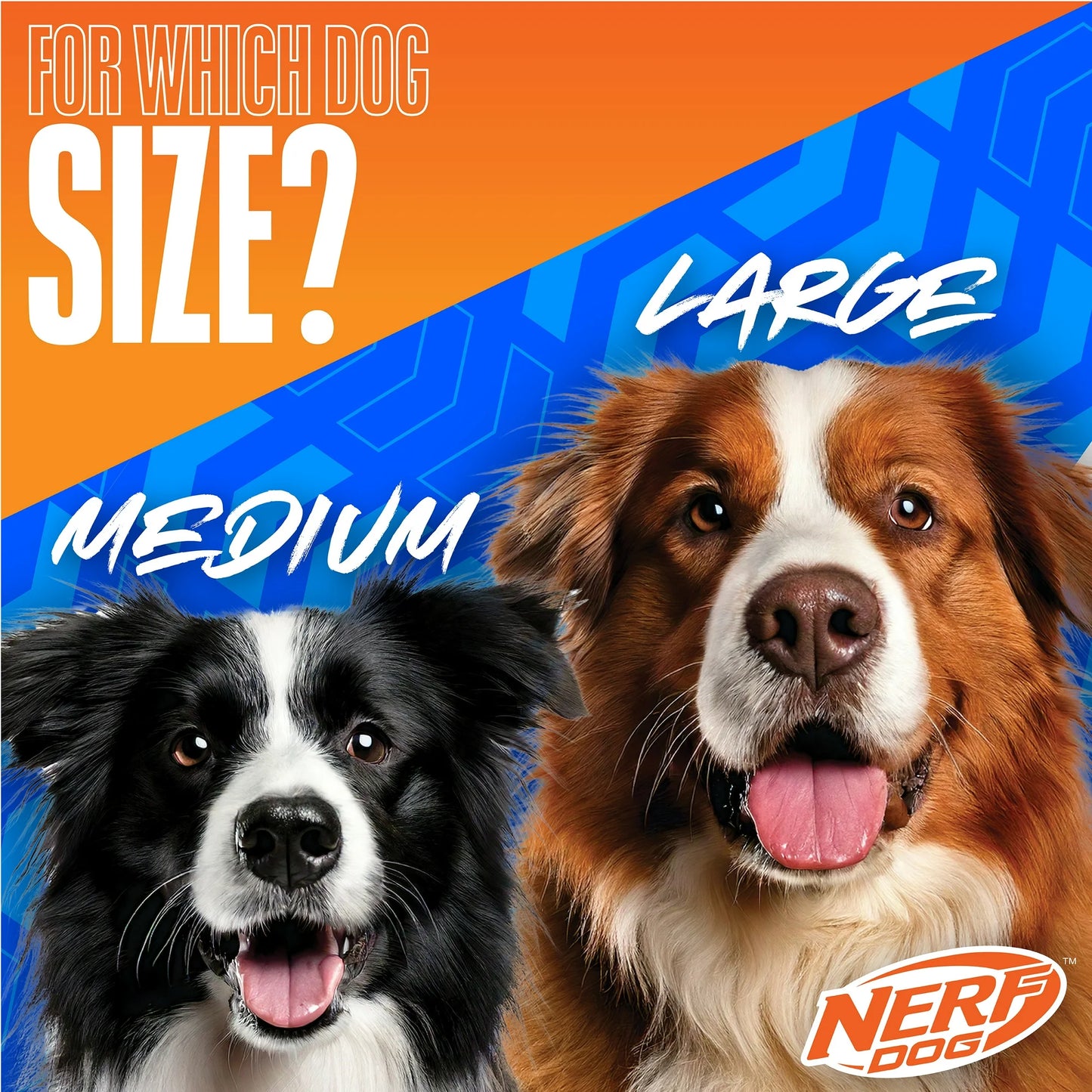 Nerf Dog LED Light Up & Squeak Hex Ring Chew Toy