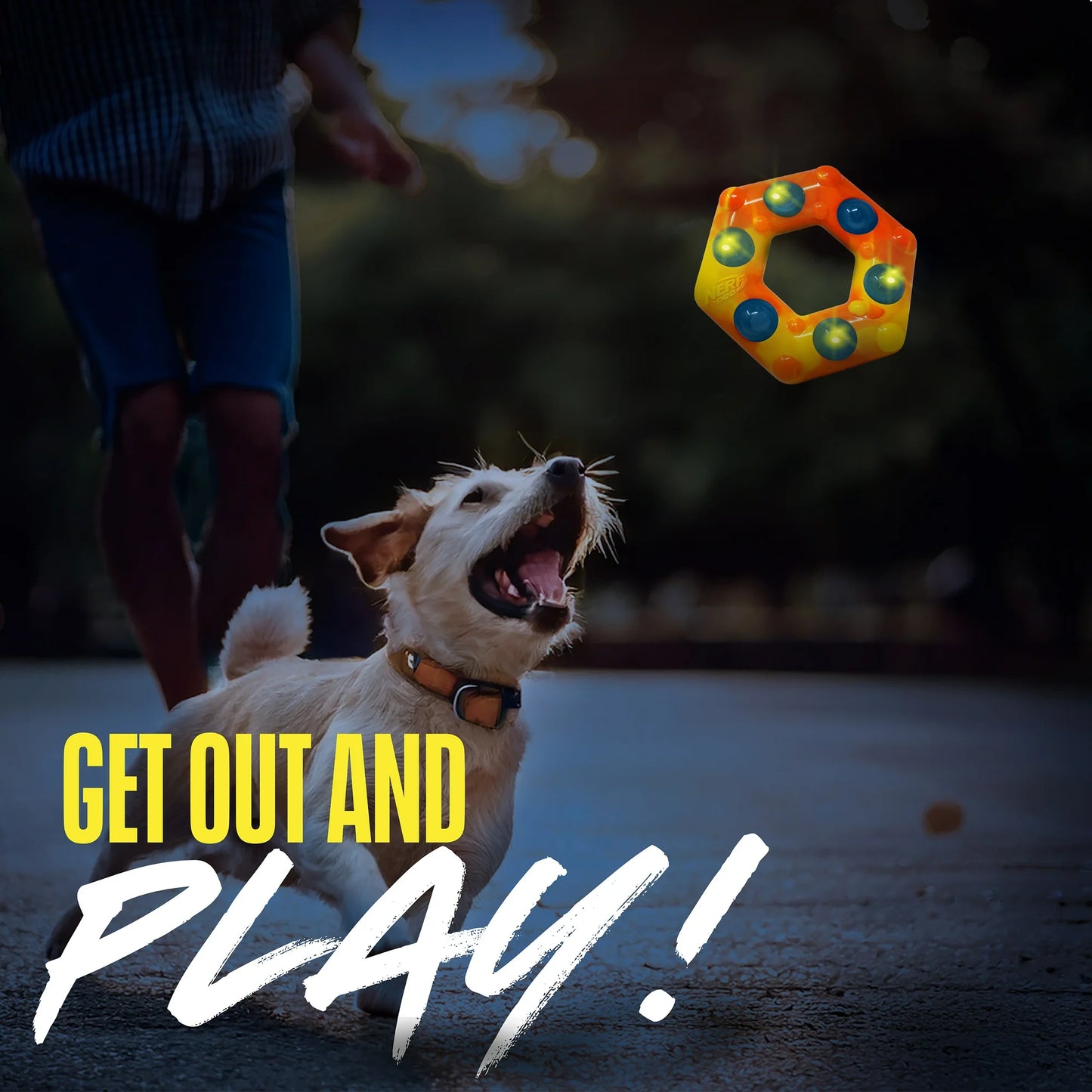Nerf Dog LED Light Up & Squeak Hex Ring Chew Toy