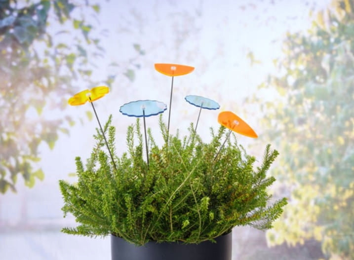 Garden Decoration Colorful Acrylic Flowers 5pcs