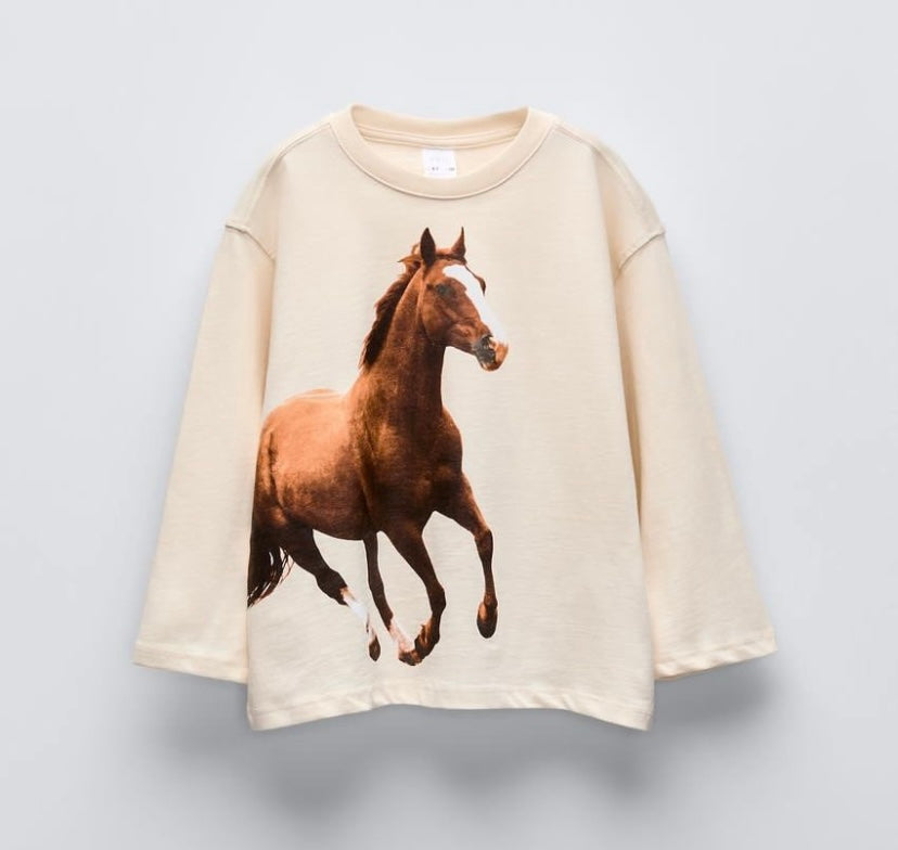 ZARA Girls Longsleeve T-Shirt