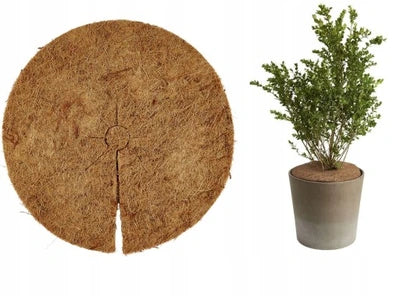 Fabric Coconut Discs, 2 pieces, 38 cm