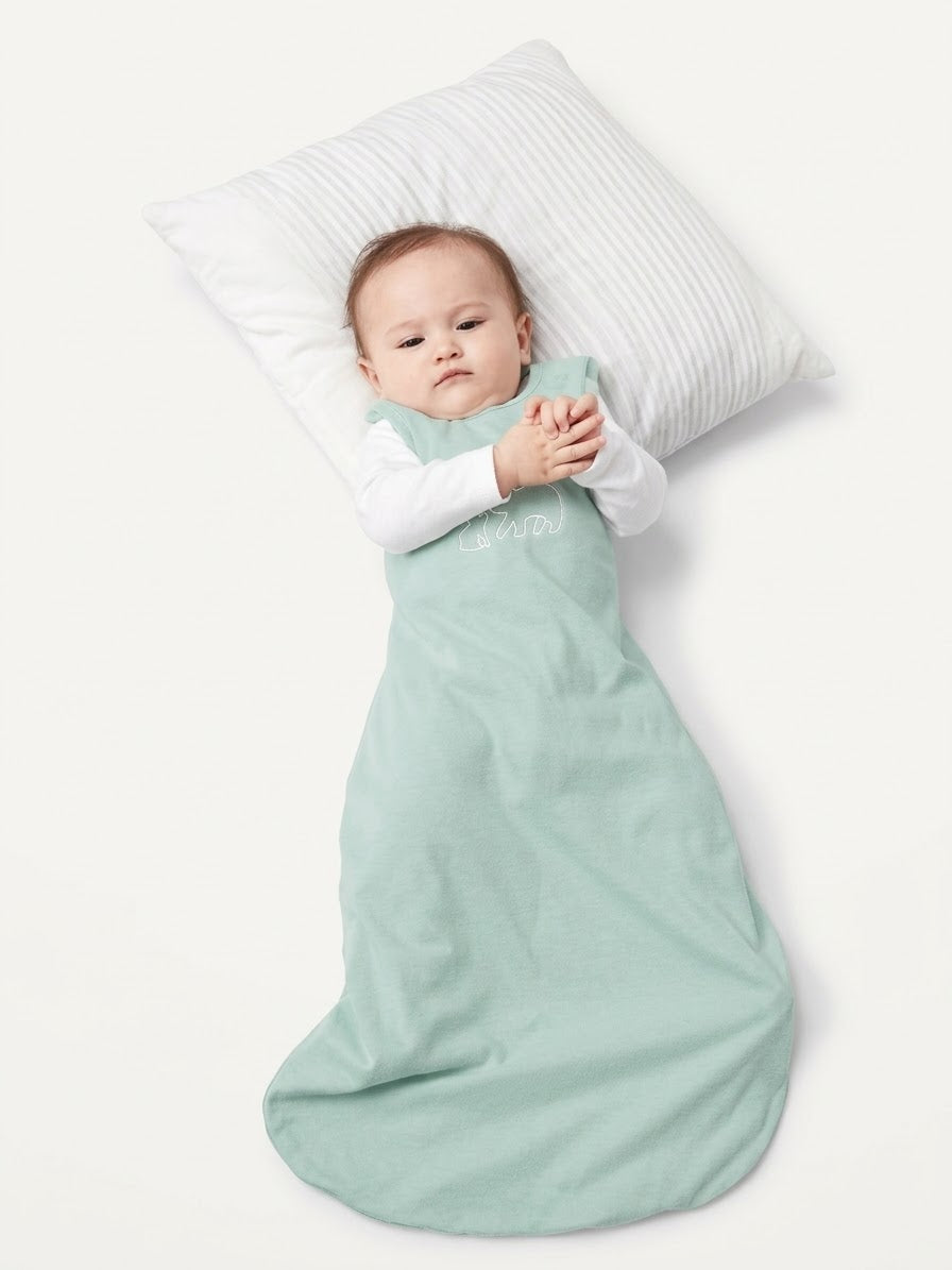 Lily & Dan Kids’ Sleeping Bag 2.5 TOG (Green)