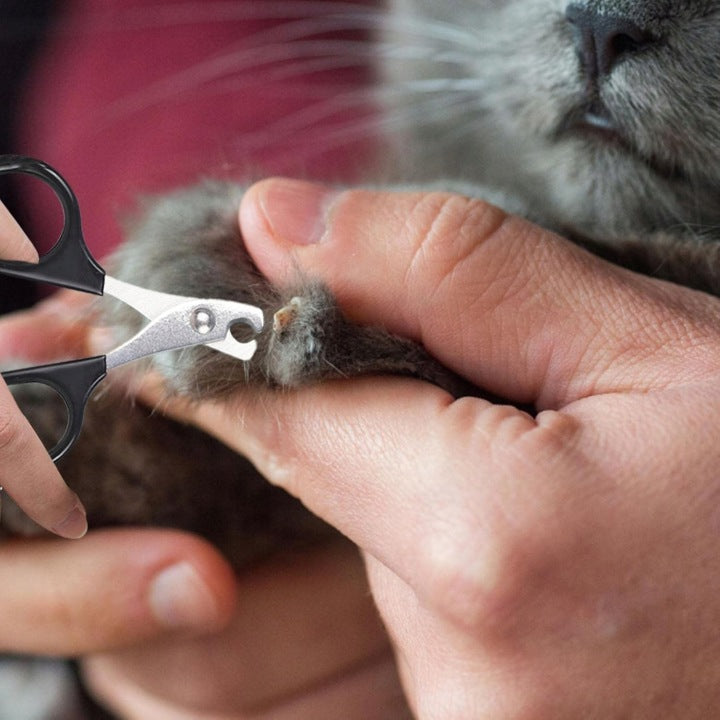 KARLIE Claws Scissors