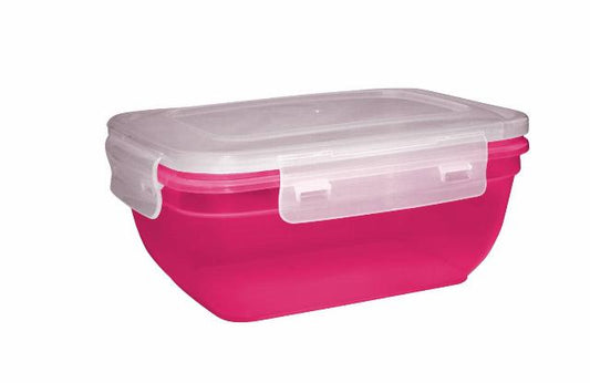 Click N Store Food Container Box (1400 ml)