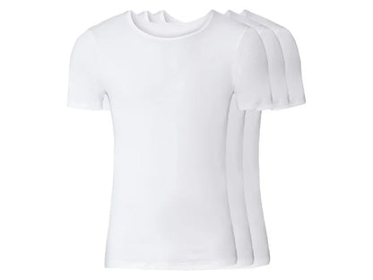 Men's undershirt, 3 pieces (round neckline)