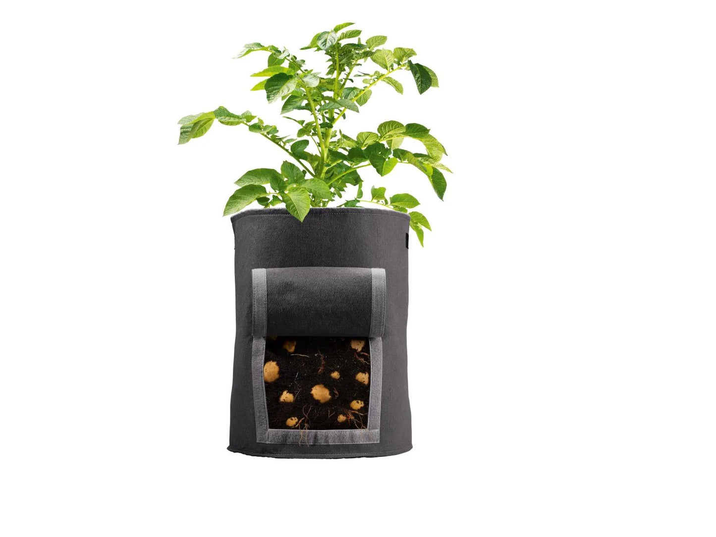 Black Potato Planting Bags (Set of 2)