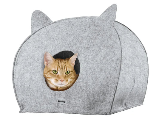 Cat House