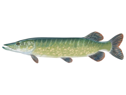 CRIVIT Fishing Hook Set (For Predatory Fish)