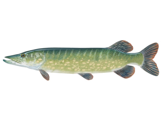 CRIVIT Fishing Hook Set (For Predatory Fish)