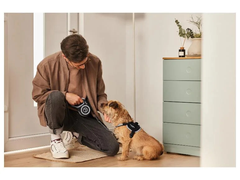 Self-retracting leash, 5 m