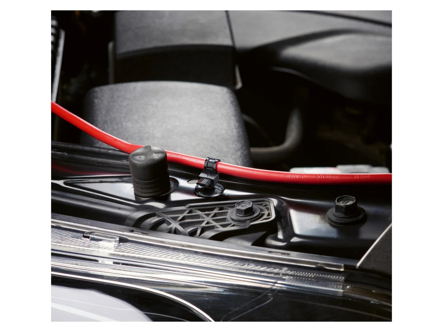 Fixing Clips (For Cars)