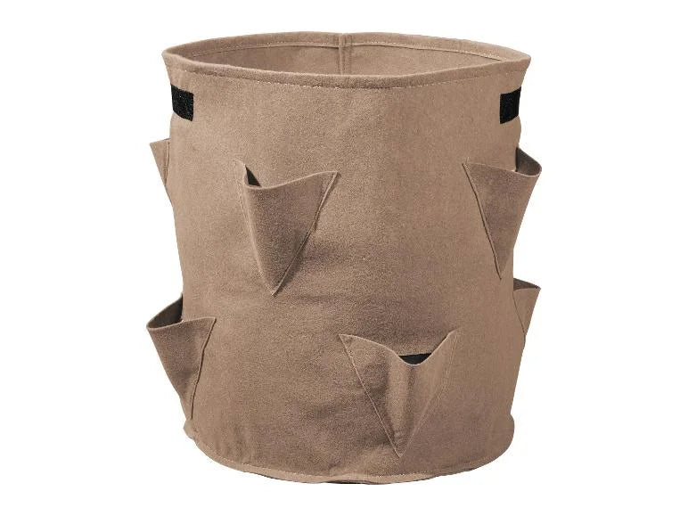 Strawberry Grow Bag, set of 2