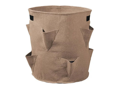 Strawberry Grow Bag, set of 2