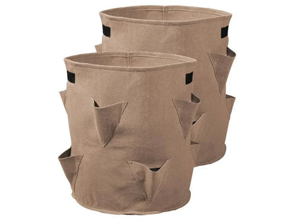 Strawberry Grow Bag, set of 2