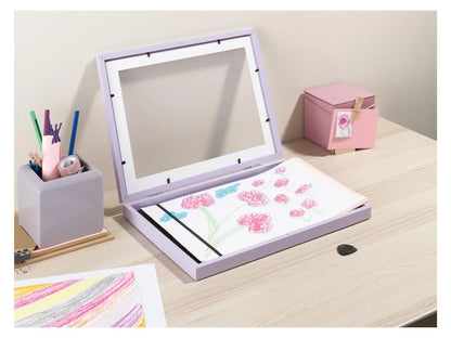 Picture frame, with storage compartment