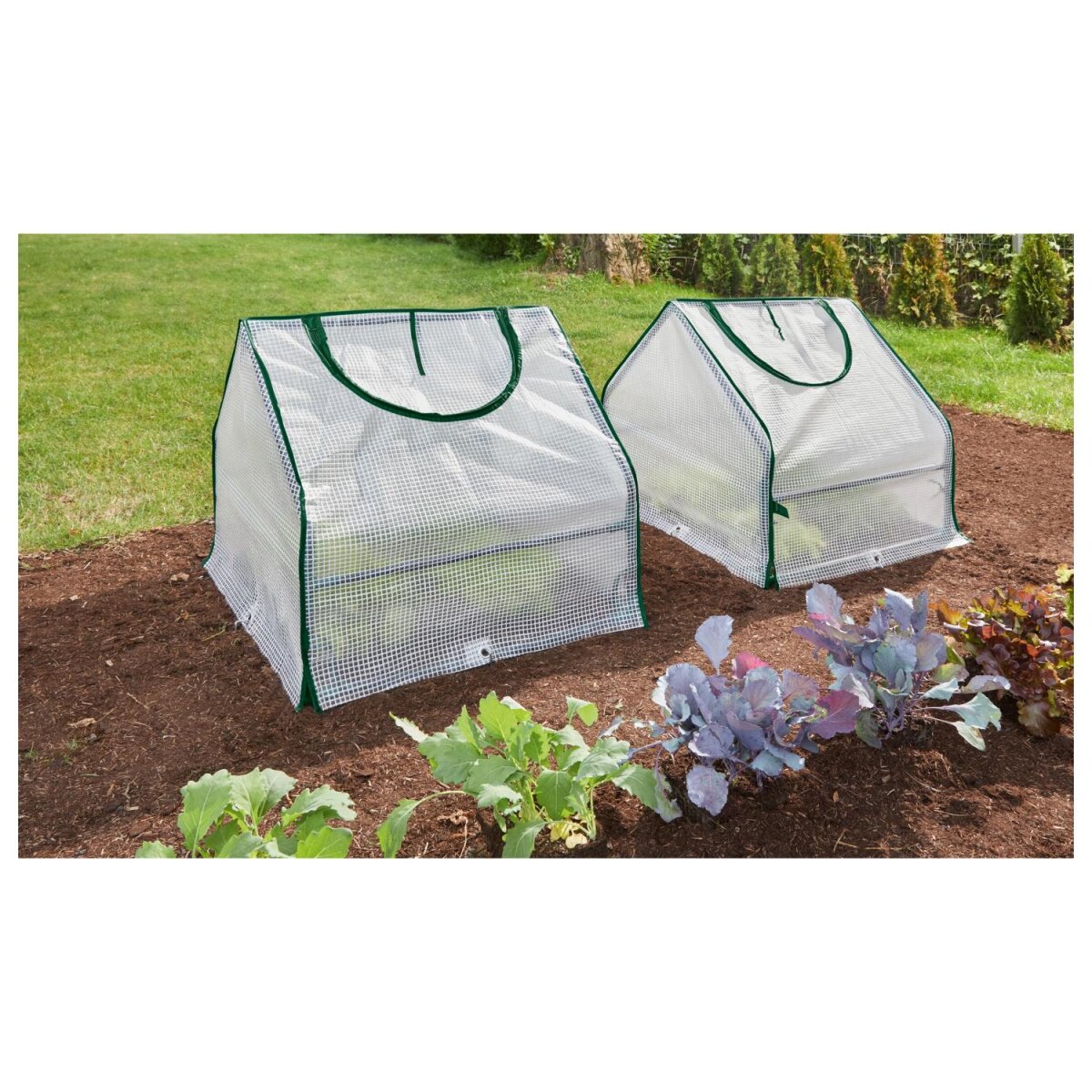 Raised Bed Planter Set of 2