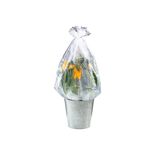 PARKSIDE® Shrub Foil Hood, 5 pieces, growing with the plant