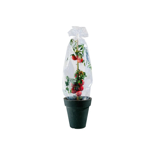 PARKSIDE® shrub foil tube, translucent and UV-stabilized