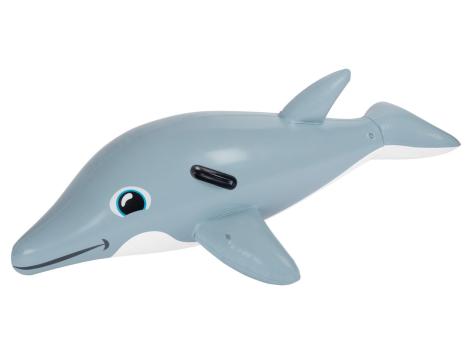 Inflatable Dolphin