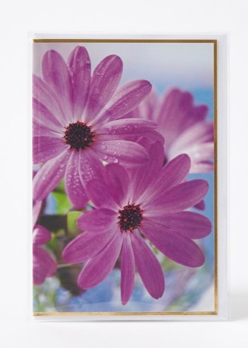 Purple Daisy Greeting Card with Gold Foil Trim