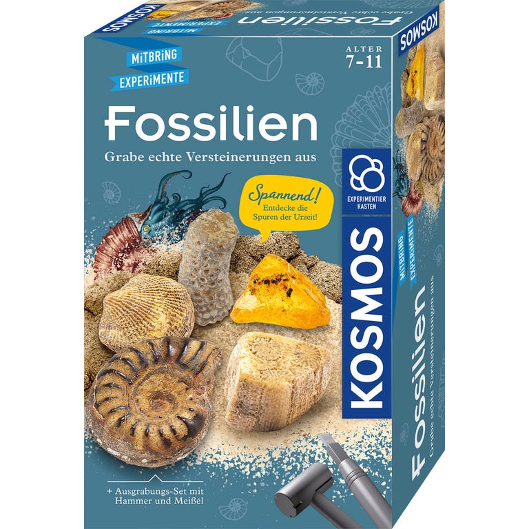 GERMAN - Fossils - Excavation Set