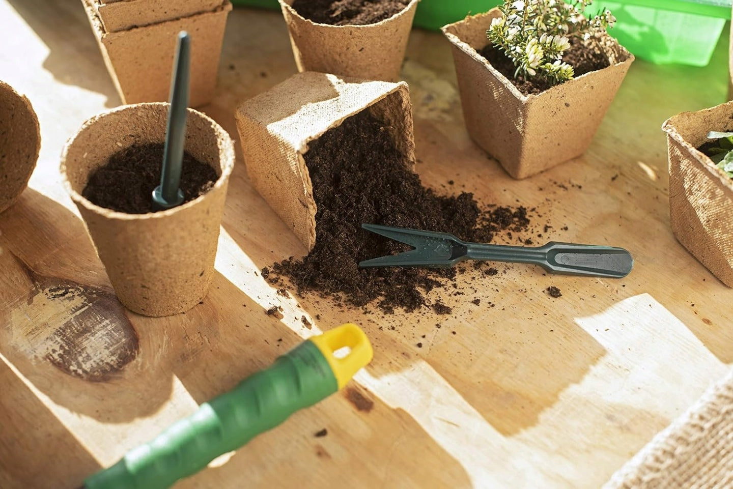 Parkside® Widger & dibber set