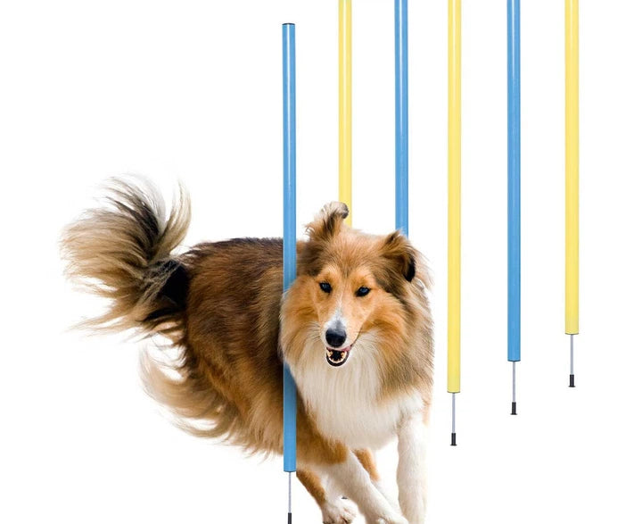Zoofari® agility slalom