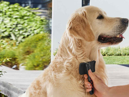 Pet care set