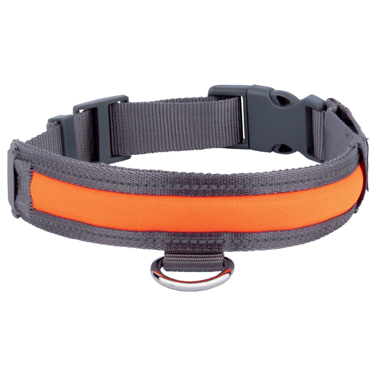 Zoofari LED Illuminated Collar - 3 Lighting functions